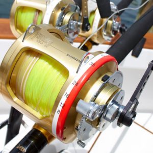 Bahamas Fishing Tournaments